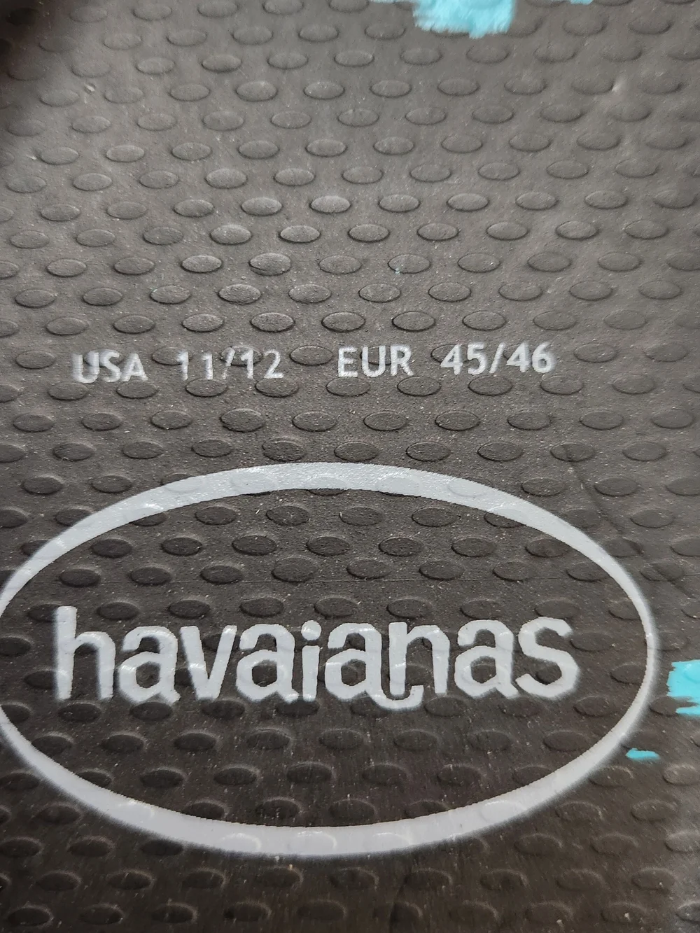 Havaianas Men's Black & Teal Flip Flops
